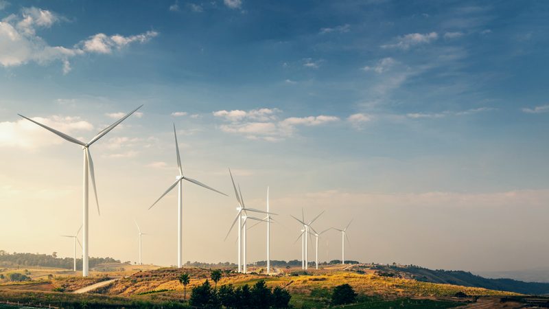 Row of wind turbines on open farmland in evening light